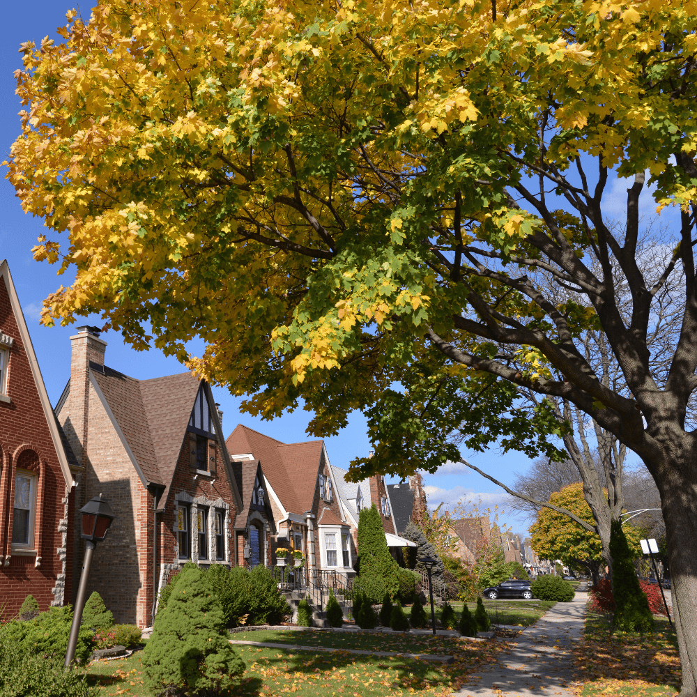 Northbrook Financial Advisors, Illinois