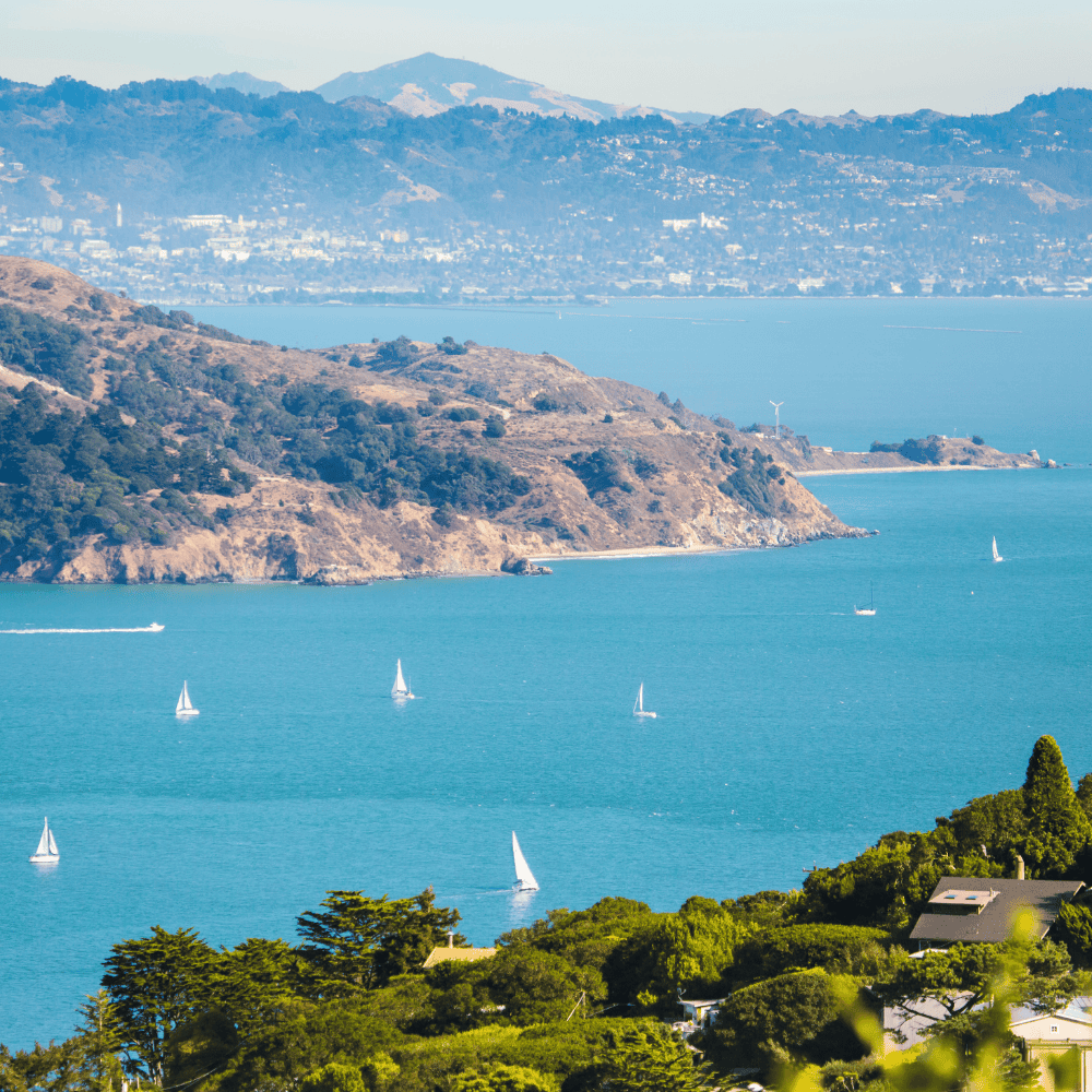 California Financial Advisors - Rothschild Wealth Partners